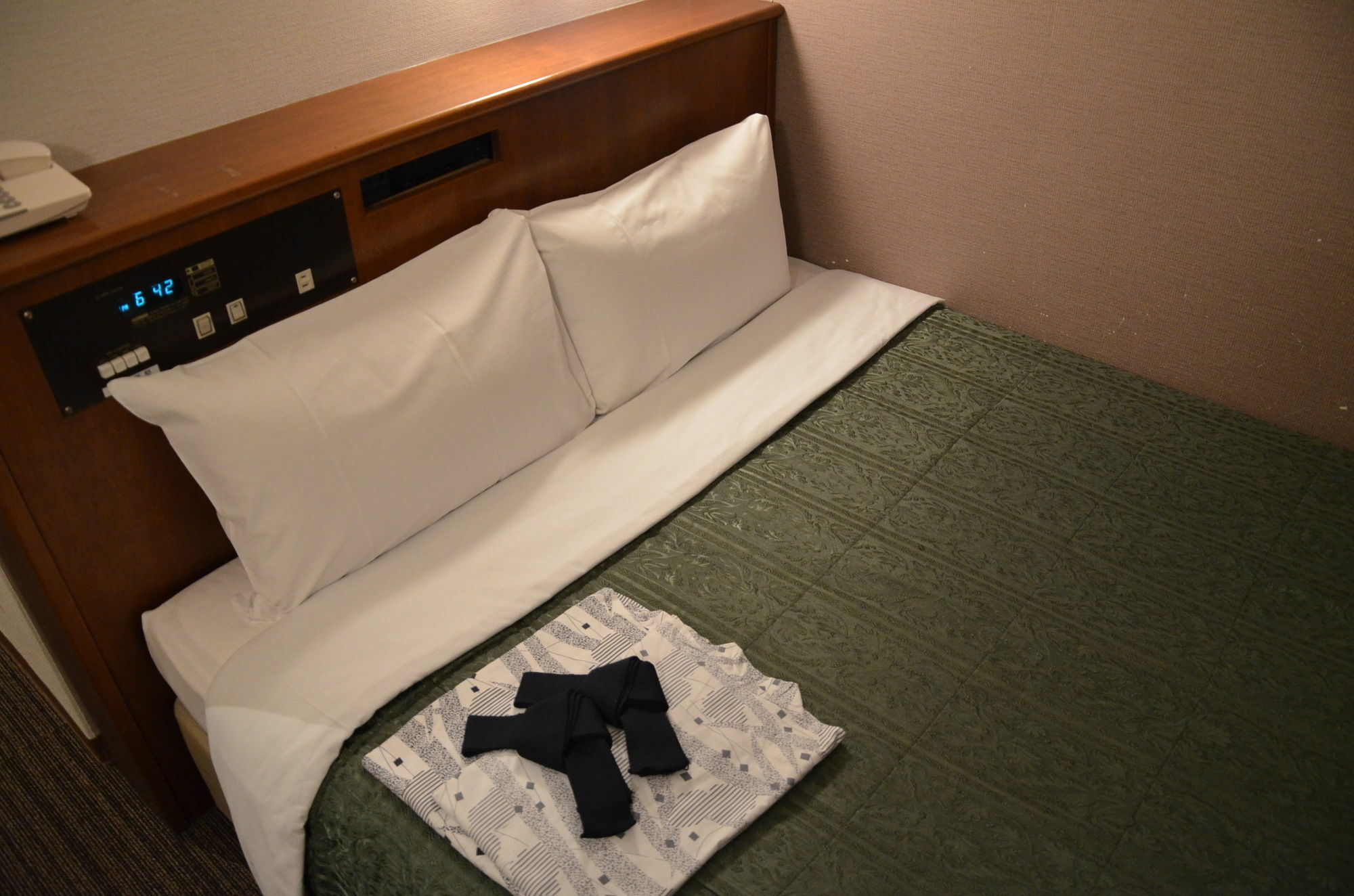 Hikone Biwako Hotel Exteriör bild